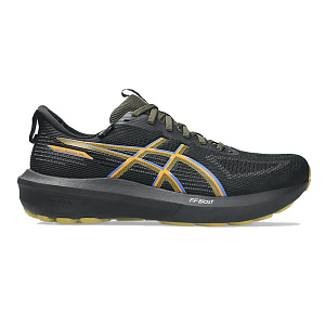 Кроссовки беговые мужские ASICS 1011C078 001 GT-1000 14 GTX 